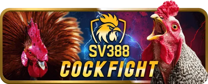 Điền thông tin đăng ký tv888
